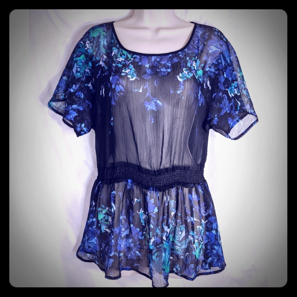 Ann Taylor Loft Sheer Top Scoopneck Gathered Waist